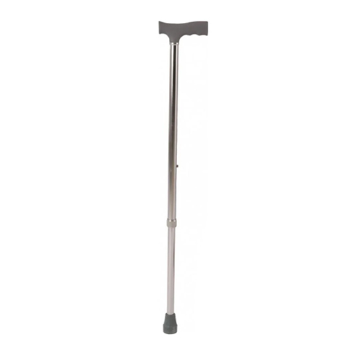 Single Leg Walking Stick Grey