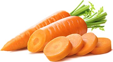 Carrot Ooty