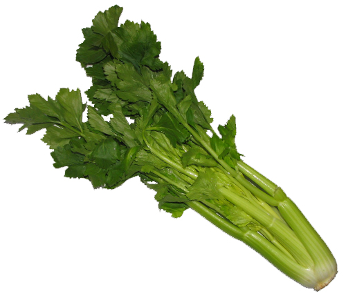 Cellary