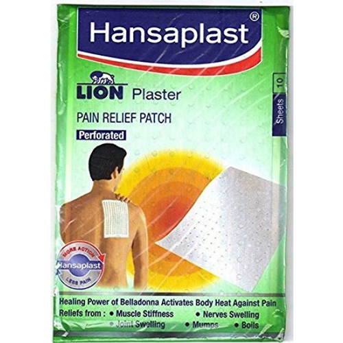 Lion Plaster
