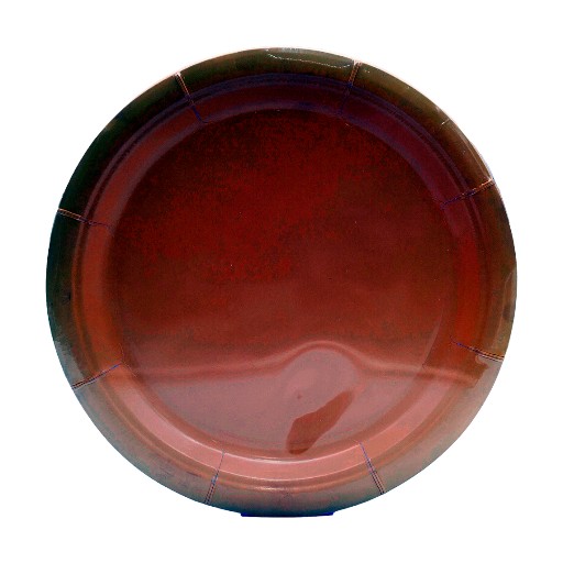 Celebrations Sunflower Yellow 9-Inch Plates