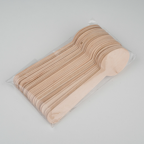 SS Disposable Spoon Medium