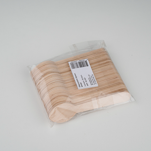 SS Disposable Spoon Small