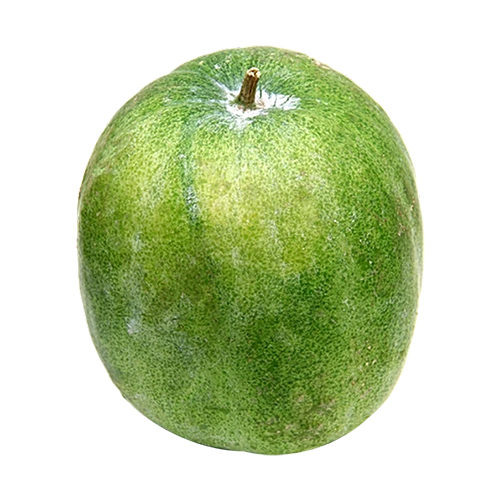Ash Gourd