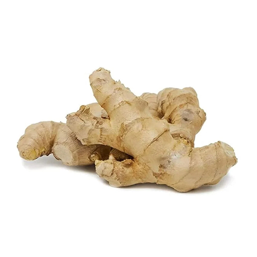 Ginger