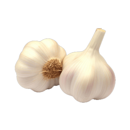 Garlic China