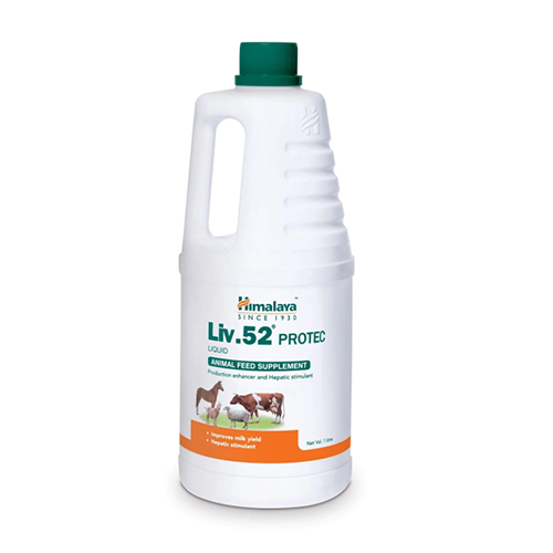 Himalaya Liv.52 Protec Liquid