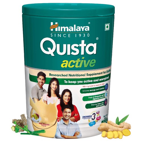 Quista Active Milk Masala Flavour