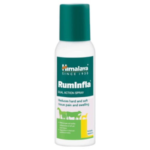 Ruminfla Dual Aciotn Spray
