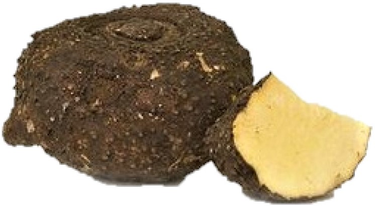 Elephant Yam