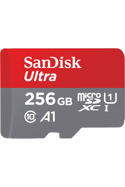 Sandisk 256 GB Micro