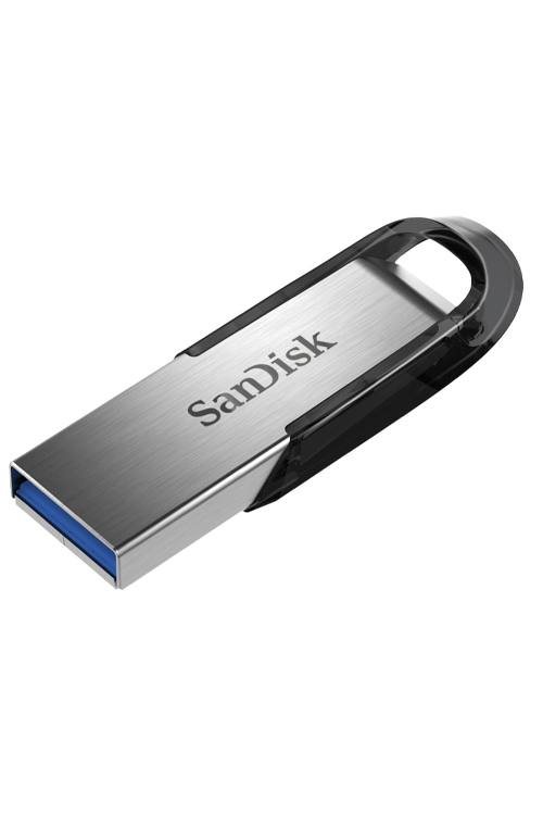 Sandisk 256 GB Pendrive