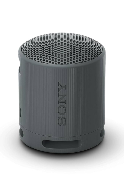 Sony SRS-Xb100/Lz Nfc Speaker
