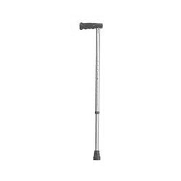 Walking Stick Single