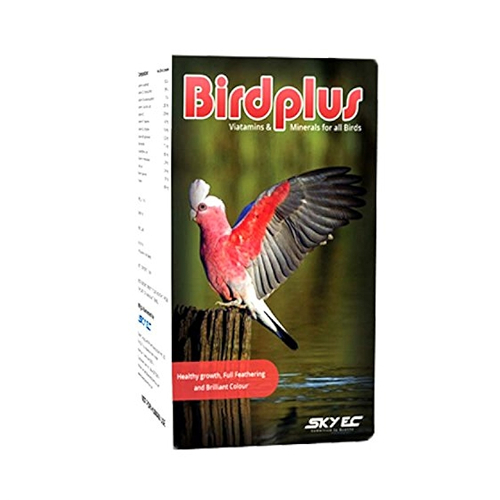 Birdplus