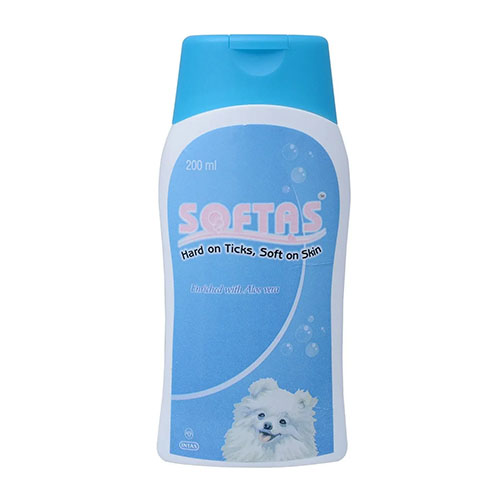 Softas Shampoo