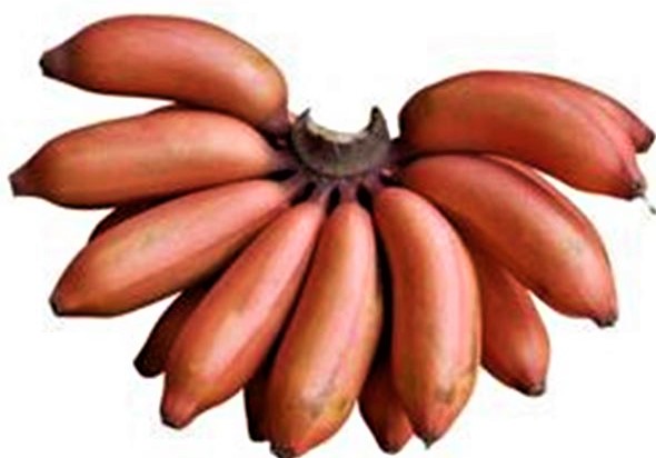 Red Banana