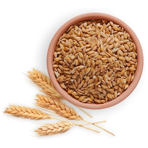 Whole Wheat