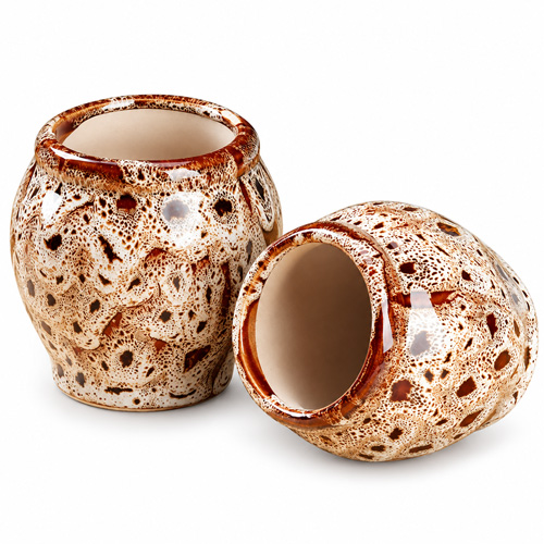 Zebra Garlic Jar