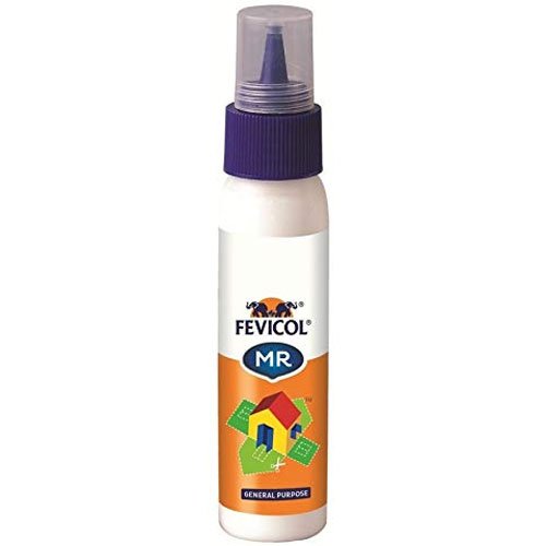 Pidilite Mr.fevicol